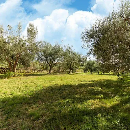 Apartamento In Tuoro Near Trasimeno